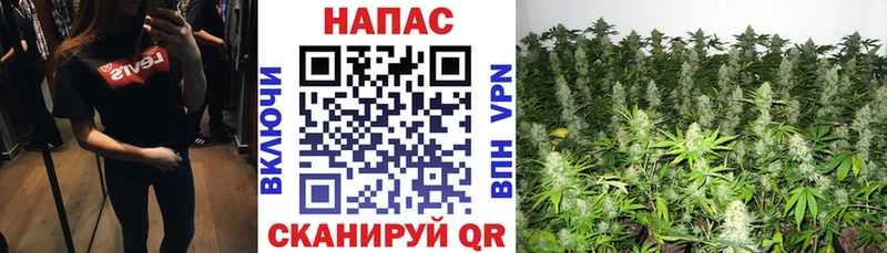 Каннабис AK-47  Костомукша 